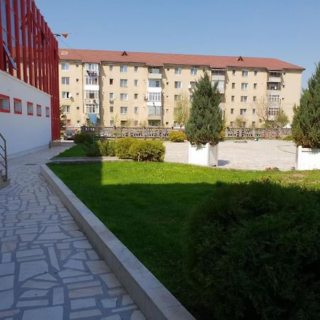 Pensiunea Ghiocela Motru Dış mekan fotoğraf